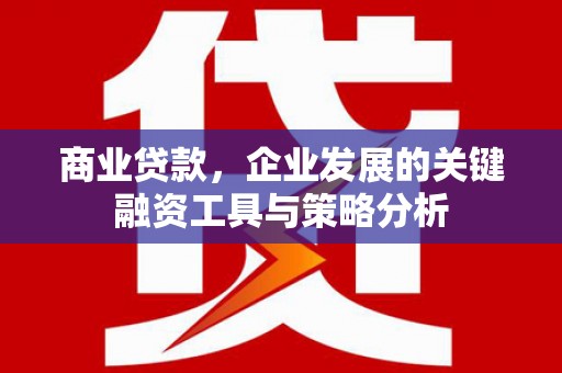 揭东商业贷款，企业发展的关键融资工具与策略分析