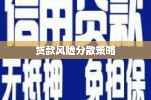 揭东贷款风险分散策略