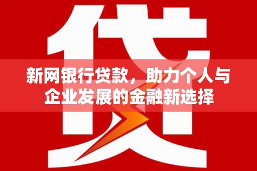 揭东新网银行贷款，助力个人与企业发展的金融新选择