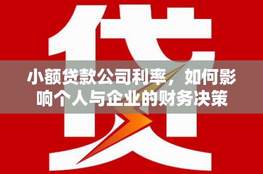 揭东小额贷款公司利率，如何影响个人与企业的财务决策