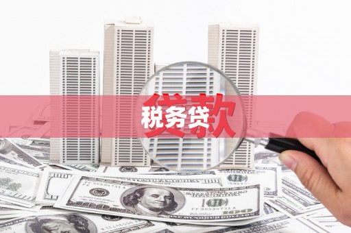 揭东税务贷