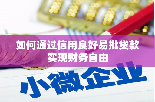揭东如何通过信用良好易批贷款实现财务自由