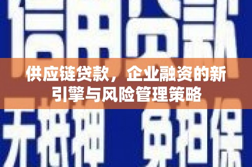 揭东供应链贷款，企业融资的新引擎与风险管理策略