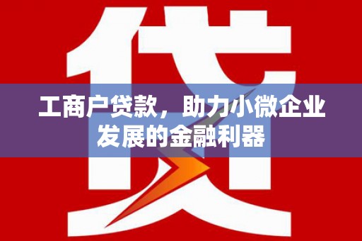 揭东工商户贷款，助力小微企业发展的金融利器