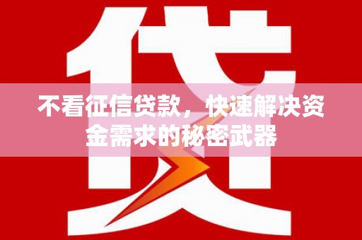 揭东不看征信贷款，快速解决资金需求的秘密武器