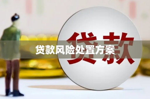 揭东贷款风险处置方案