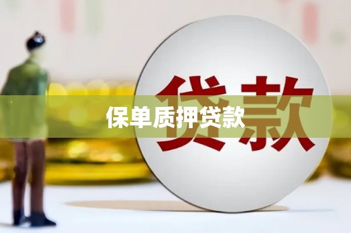揭东保单质押贷款