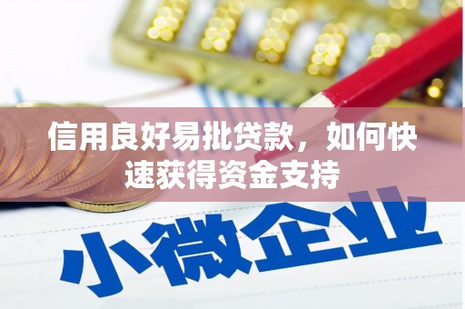 揭东信用良好易批贷款，如何快速获得资金支持