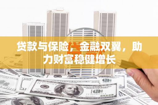 揭东贷款与保险，金融双翼，助力财富稳健增长