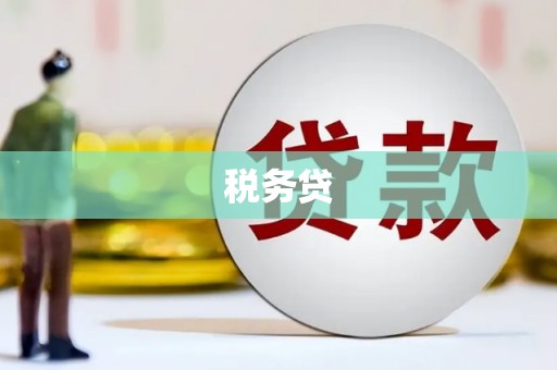 揭东税务贷