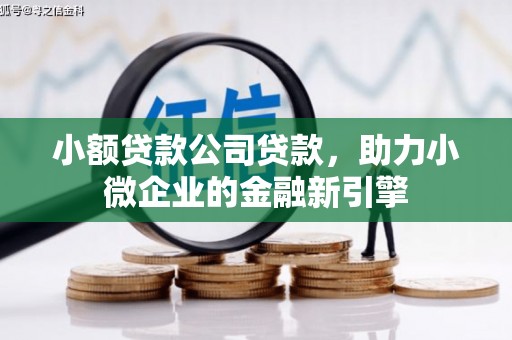 揭东小额贷款公司贷款，助力小微企业的金融新引擎