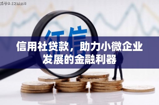 揭东信用社贷款，助力小微企业发展的金融利器