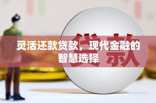 揭东灵活还款贷款，现代金融的智慧选择