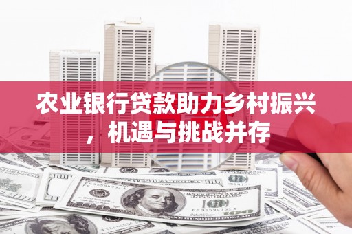 揭东农业银行贷款助力乡村振兴，机遇与挑战并存