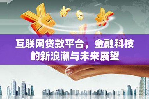揭东互联网贷款平台，金融科技的新浪潮与未来展望