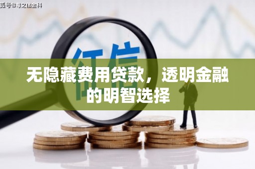 揭东无隐藏费用贷款，透明金融的明智选择