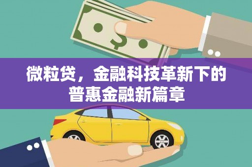 揭东微粒贷，金融科技革新下的普惠金融新篇章