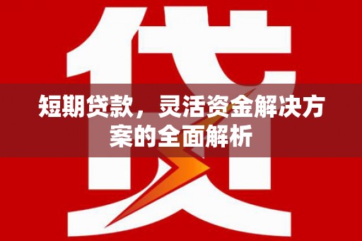 揭东短期贷款，灵活资金解决方案的全面解析