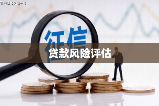 揭东贷款风险评估