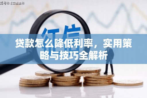 揭东贷款怎么降低利率，实用策略与技巧全解析