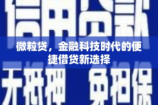 揭东微粒贷，金融科技时代的便捷借贷新选择