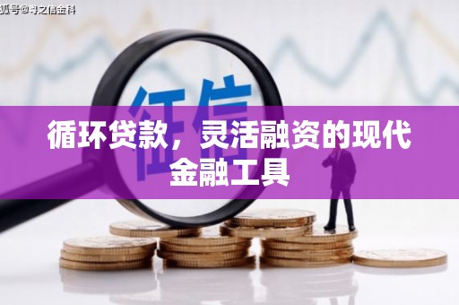 揭东循环贷款，灵活融资的现代金融工具