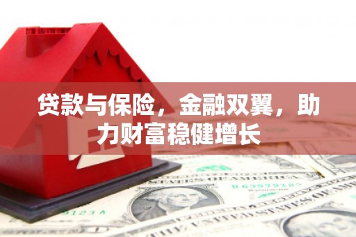 揭东贷款与保险，金融双翼，助力财富稳健增长