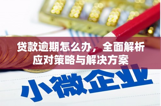揭东贷款逾期怎么办，全面解析应对策略与解决方案
