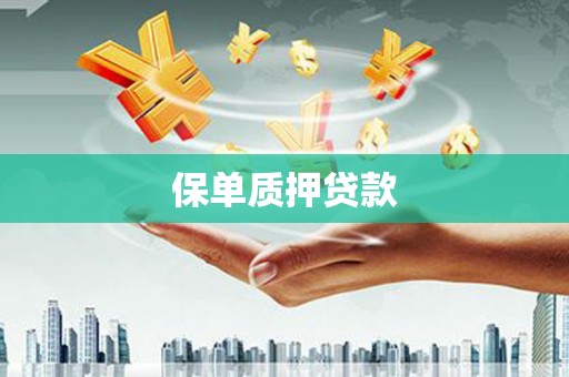 揭东保单质押贷款