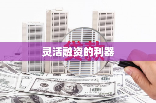 揭东灵活融资的利器