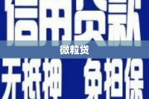 揭东微粒贷