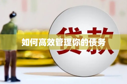 揭东如何高效管理你的债务