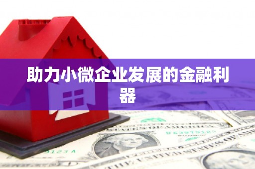 揭东助力小微企业发展的金融利器
