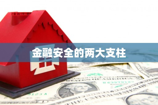 揭东金融安全的两大支柱