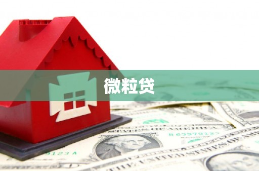 揭东微粒贷