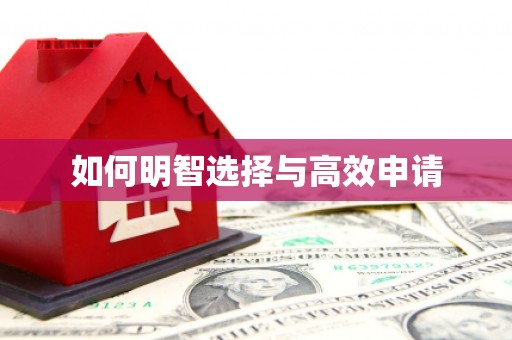 揭东如何明智选择与高效申请