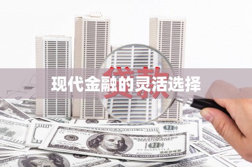 揭东现代金融的灵活选择