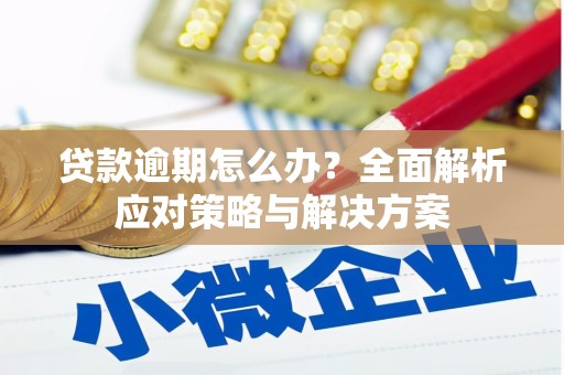 揭东贷款逾期怎么办？全面解析应对策略与解决方案