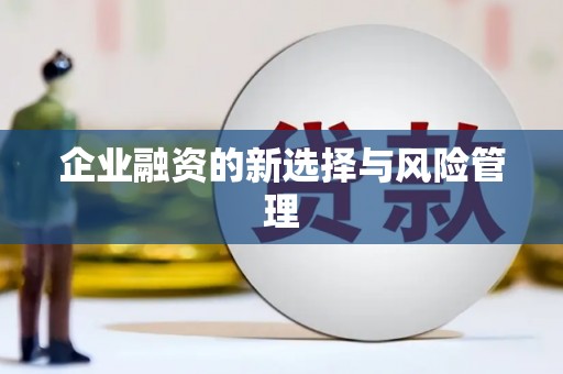 揭东企业融资的新选择与风险管理