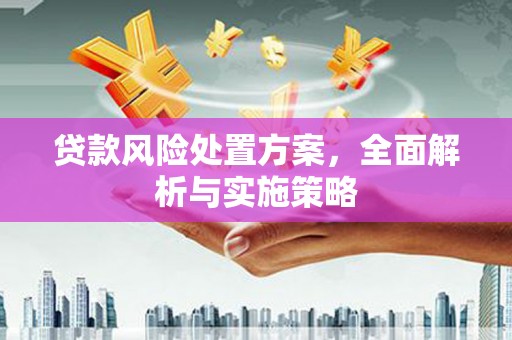 揭东贷款风险处置方案，全面解析与实施策略