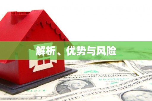 揭东解析、优势与风险