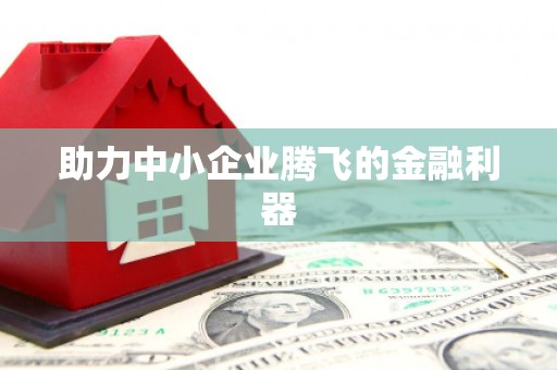 揭东助力中小企业腾飞的金融利器