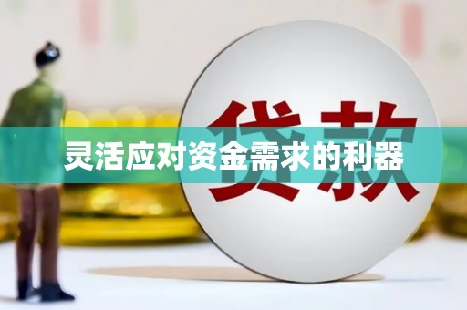揭东灵活应对资金需求的利器
