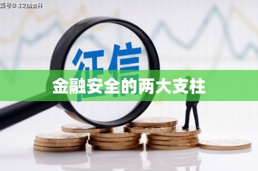揭东金融安全的两大支柱