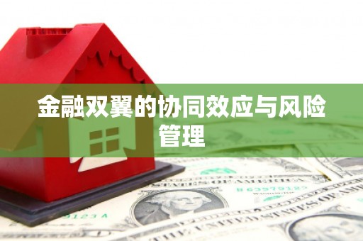 揭东金融双翼的协同效应与风险管理