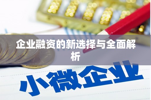 揭东企业融资的新选择与全面解析