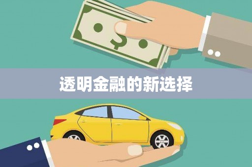 揭东透明金融的新选择