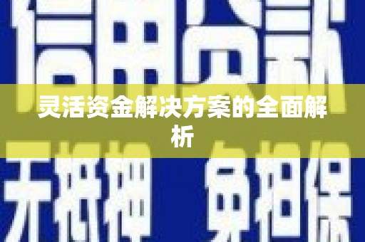 揭东灵活资金解决方案的全面解析