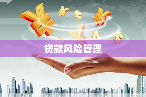 揭东贷款风险管理