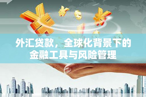 揭东外汇贷款，全球化背景下的金融工具与风险管理